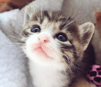 測繪CAD丨批量標(biāo)注坐標(biāo)，你不需要嗎？